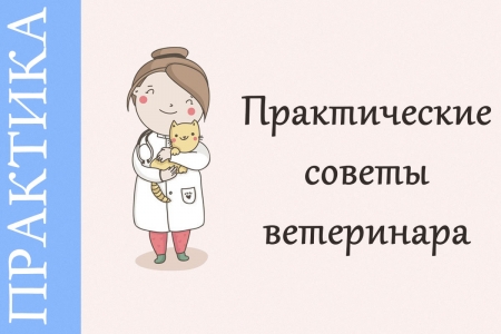 практические советы