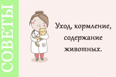 Уход, кормление, содержание животных