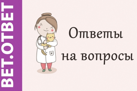 ответ ветеринара